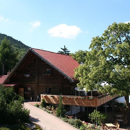 Kastanienhof Apartment Hotel Dannenfels Экстерьер фото