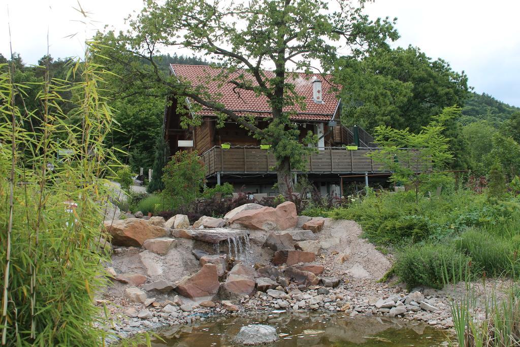 Kastanienhof Apartment Hotel Dannenfels Экстерьер фото